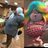 Sergo_stm