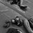 IS1412