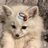 Andrey39