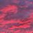 Alex_37