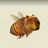 Absolut_oleg