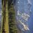 Lidia_shpola