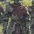 Timur54345