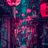 sachook