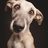 NikGreen