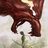rodion_7