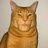 Опс