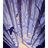 ivaylo_dge