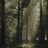 vasal