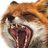 Wolf_TM
