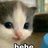 evgeniy086