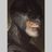 batya_rr