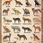 fsdfdbd