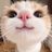 evgeniyy_1337