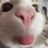 pitzoom